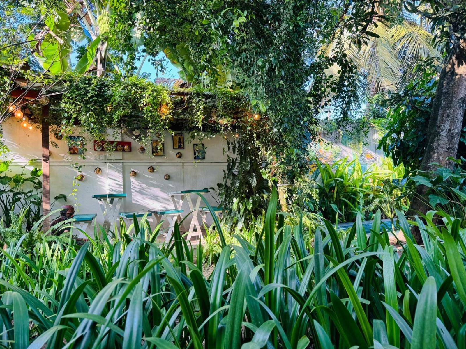 Double Mango Villa Катунаяка Екстер'єр фото